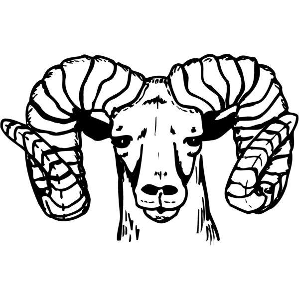 RAM004 Thumbnail